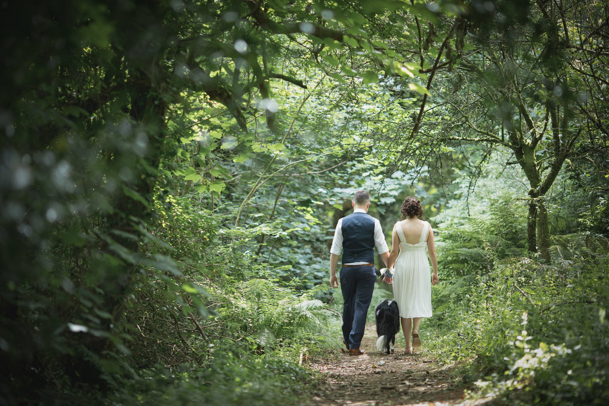 Dog friendly wedding venue The Green in Cornwall