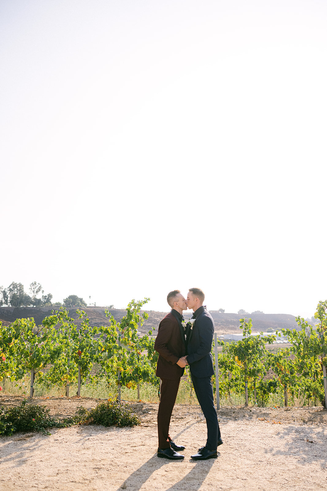 Avensole_Winery_Photography-Wedding-Sneaks-22