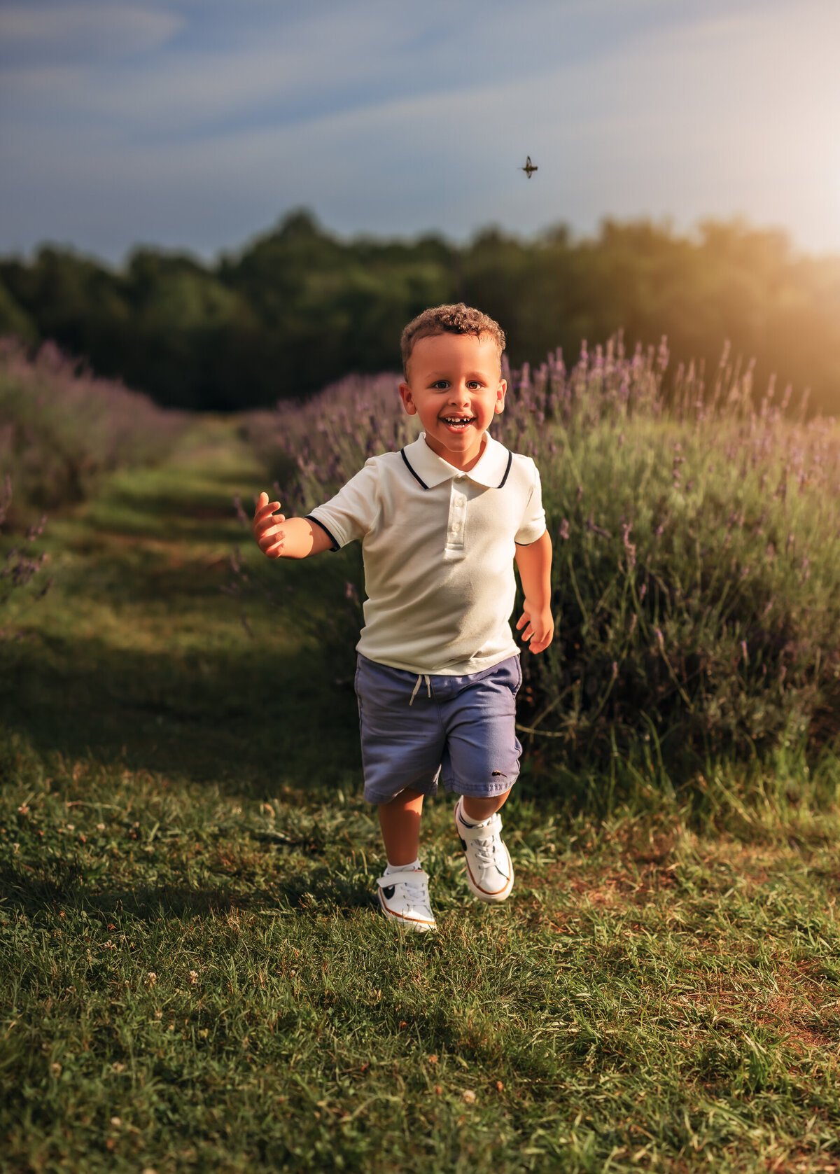 VA Lavender Farm Maternity Photography Session-23
