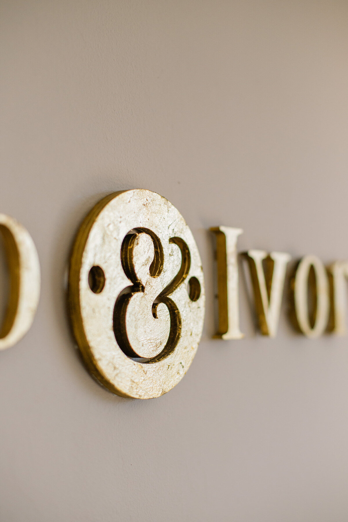 Bendigo-Corporate-Photographer-TanyaStraussPhotography-1