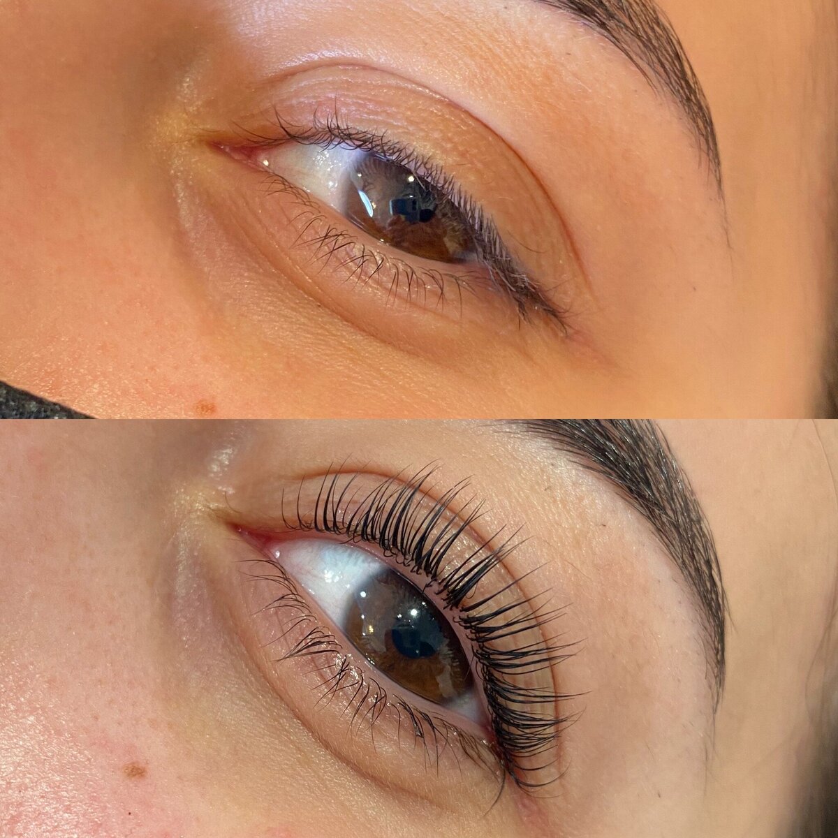lash11
