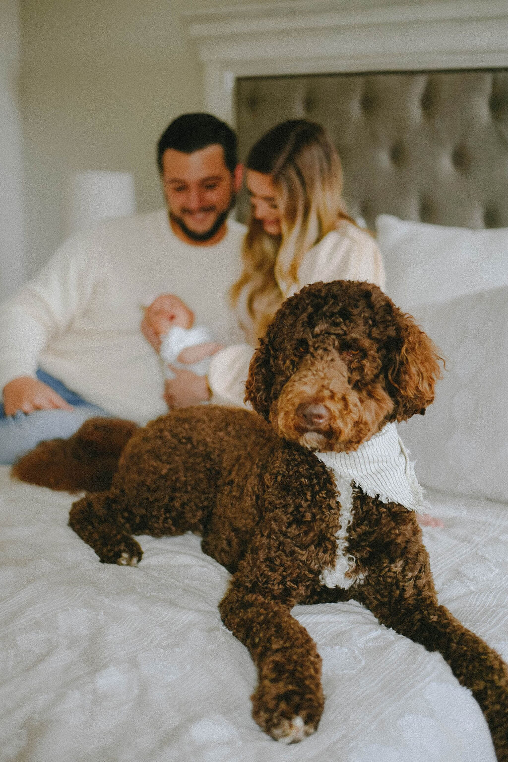 lafayette newborn photographer, lafayette family photographer, in home photoshoot, louisiana lifestyle photographer 