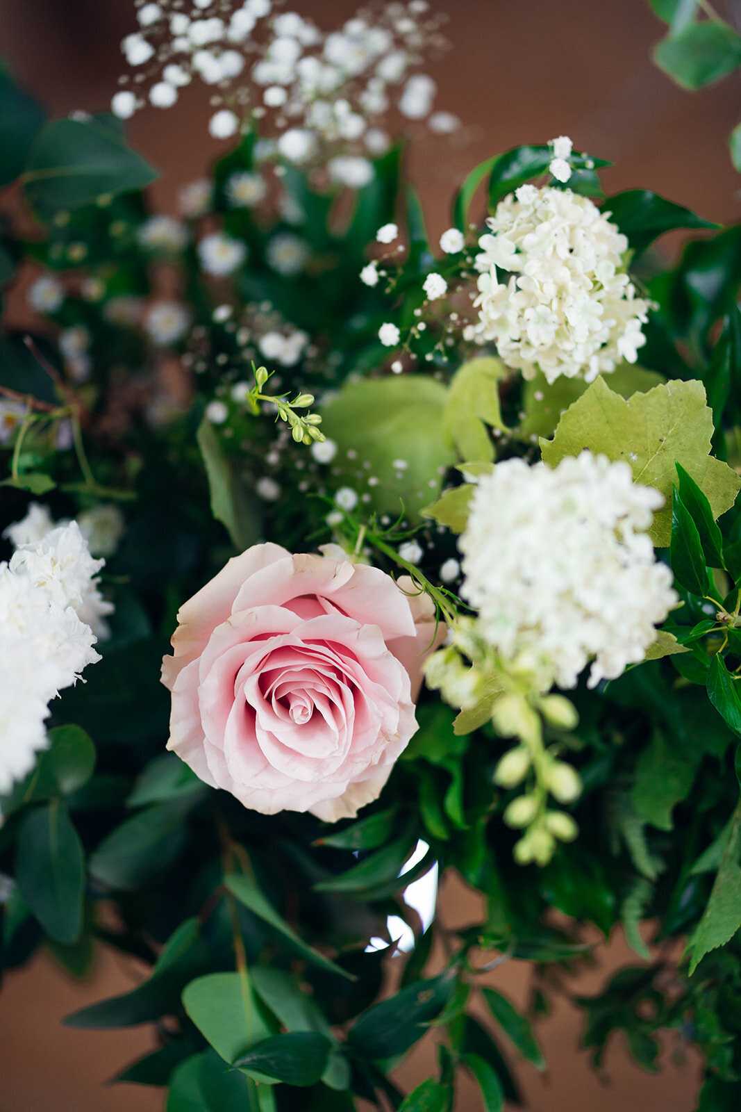 EmilyCollettPhotography0030