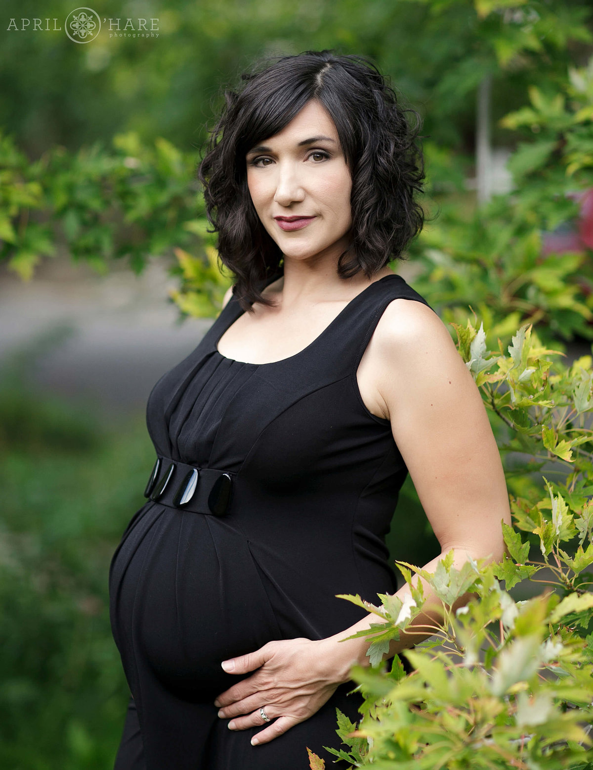 Gorgeous Pregnancy Portrait by Denver Maternity Photographer