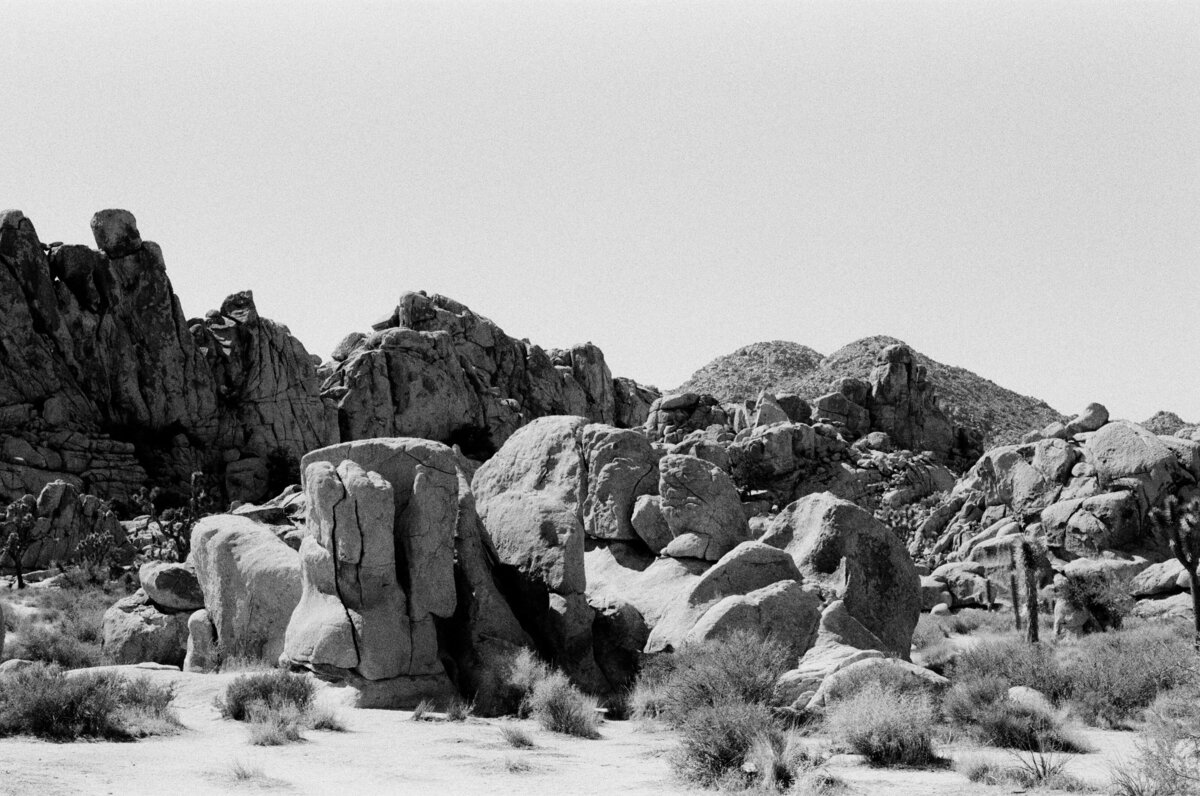 Boulder-Field-Joshua Tree