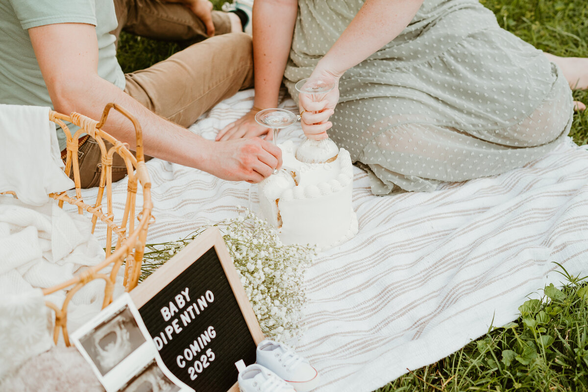 raleigh maternity photography
