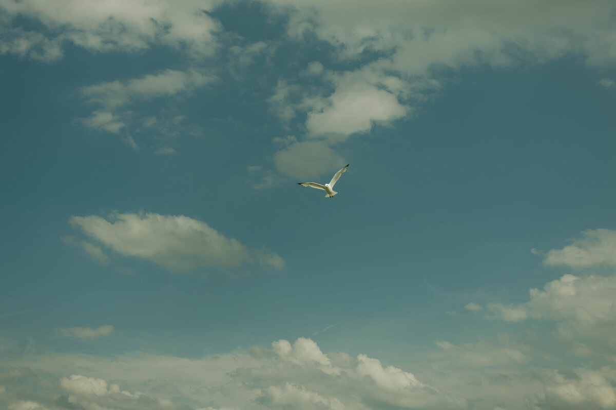 4N9A8213