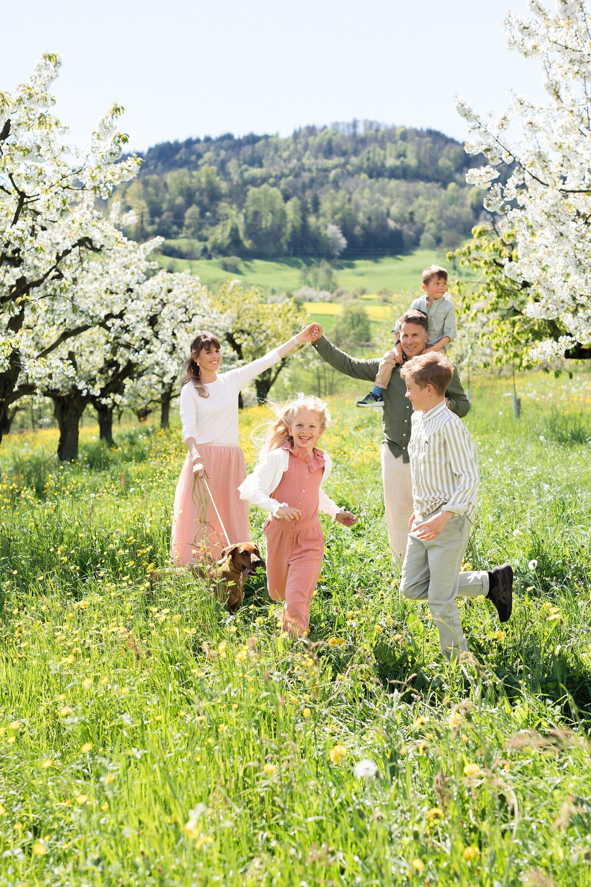 Familienshooting-Familienfotos-Aargau-Zuerich-Frühling-Fricktal-Kirschblüte-40