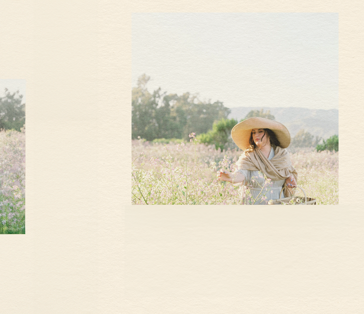 Nicole Picking Flowers | Amphora Edu