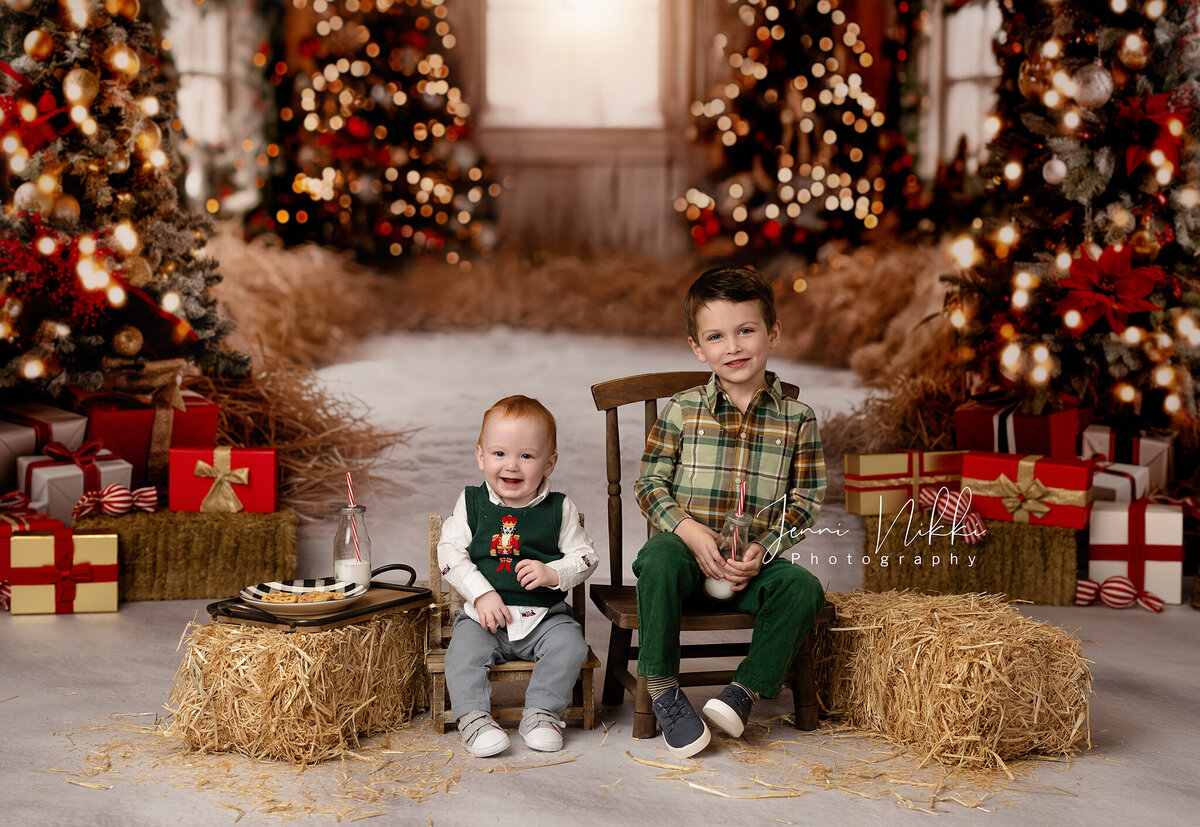 holiday mini sessions