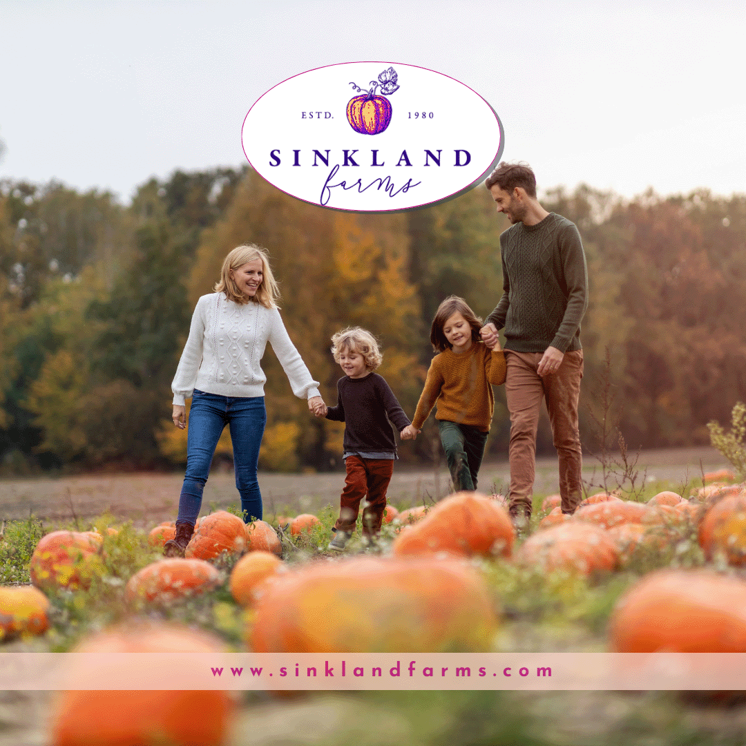 pumpkin-festival-family-pumpkins-3_sinkland-farms-SM-WEB