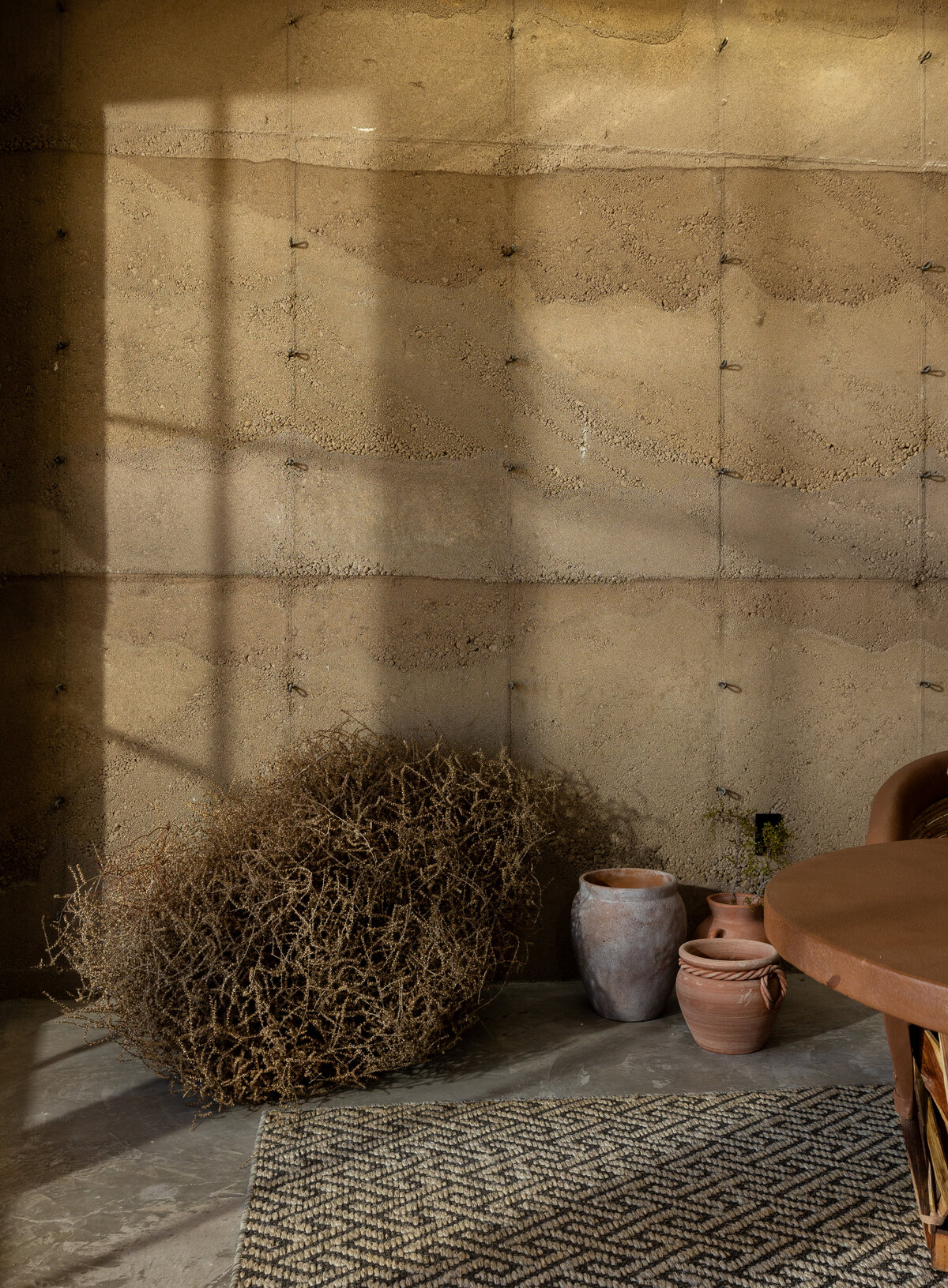 18_GUEST HOUSE_RATTLESNAKE_moody tumbleweed
