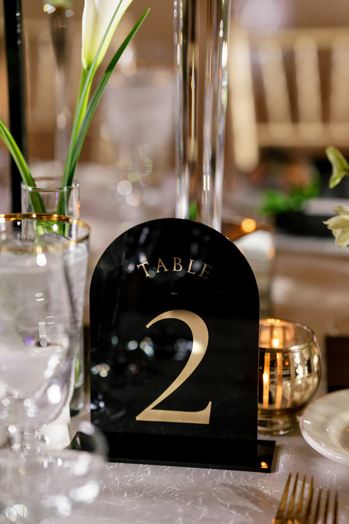 Berlez-Aspen-Avenue-Chicago-Wedding-Photographer-Palmer-House-Celebrate-Planning-Yanni-Design-Dimitra-Shannon-O'Brien-Magazine-Editorial-189