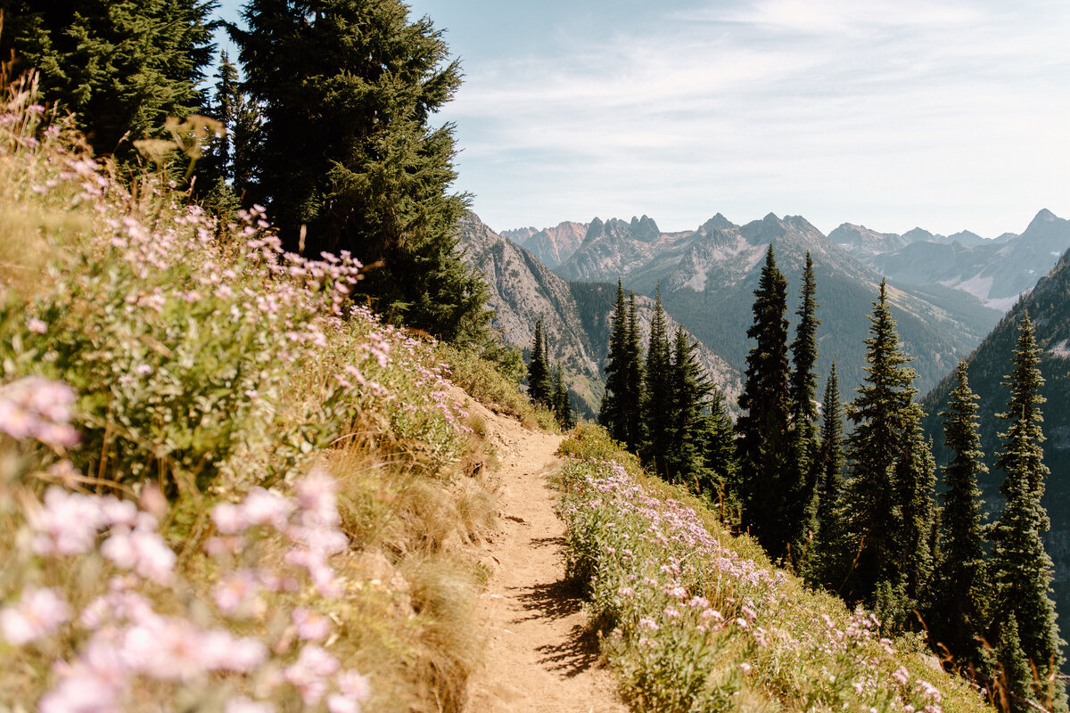 north_cascades_national_park_trail_heather_maple_loop_pass