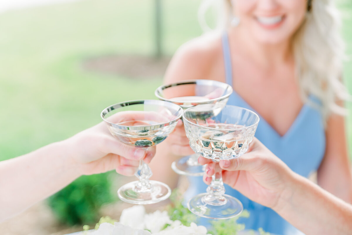 Cassie-And-Frances-wedding-Photographer-Emerson-Fields-Mexico-Jefferson-City-Columbia-St.Louis-Kansas-City-Missouri-Kansas