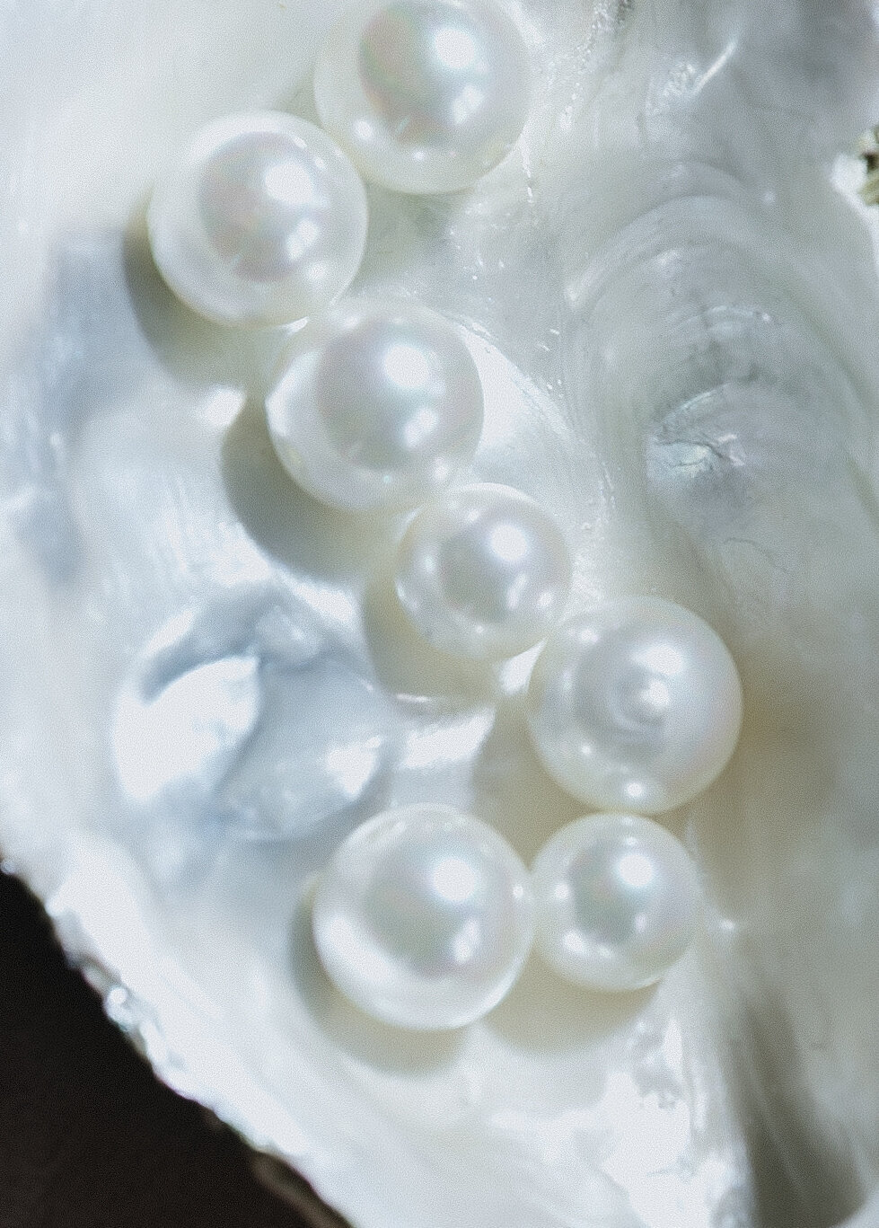 Castle Destination Wedding