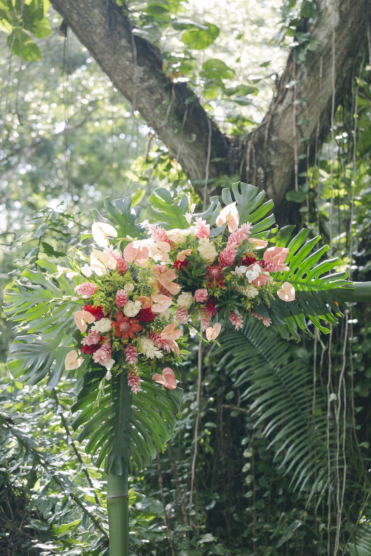 PERRUCCIPHOTO_BELIZE_DESTINATION_WEDDING_96