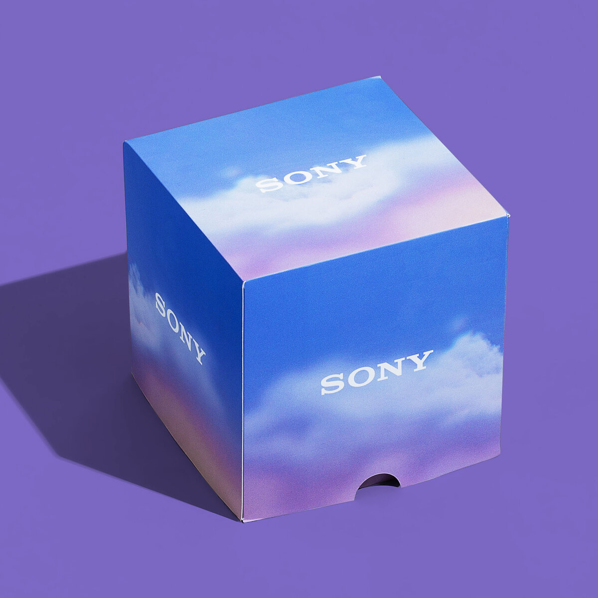 Sony_1
