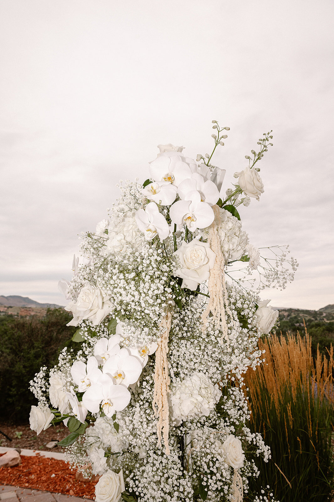 Durango-And-Telluride-Wedding-Photographer-Ashley-Joyce-1