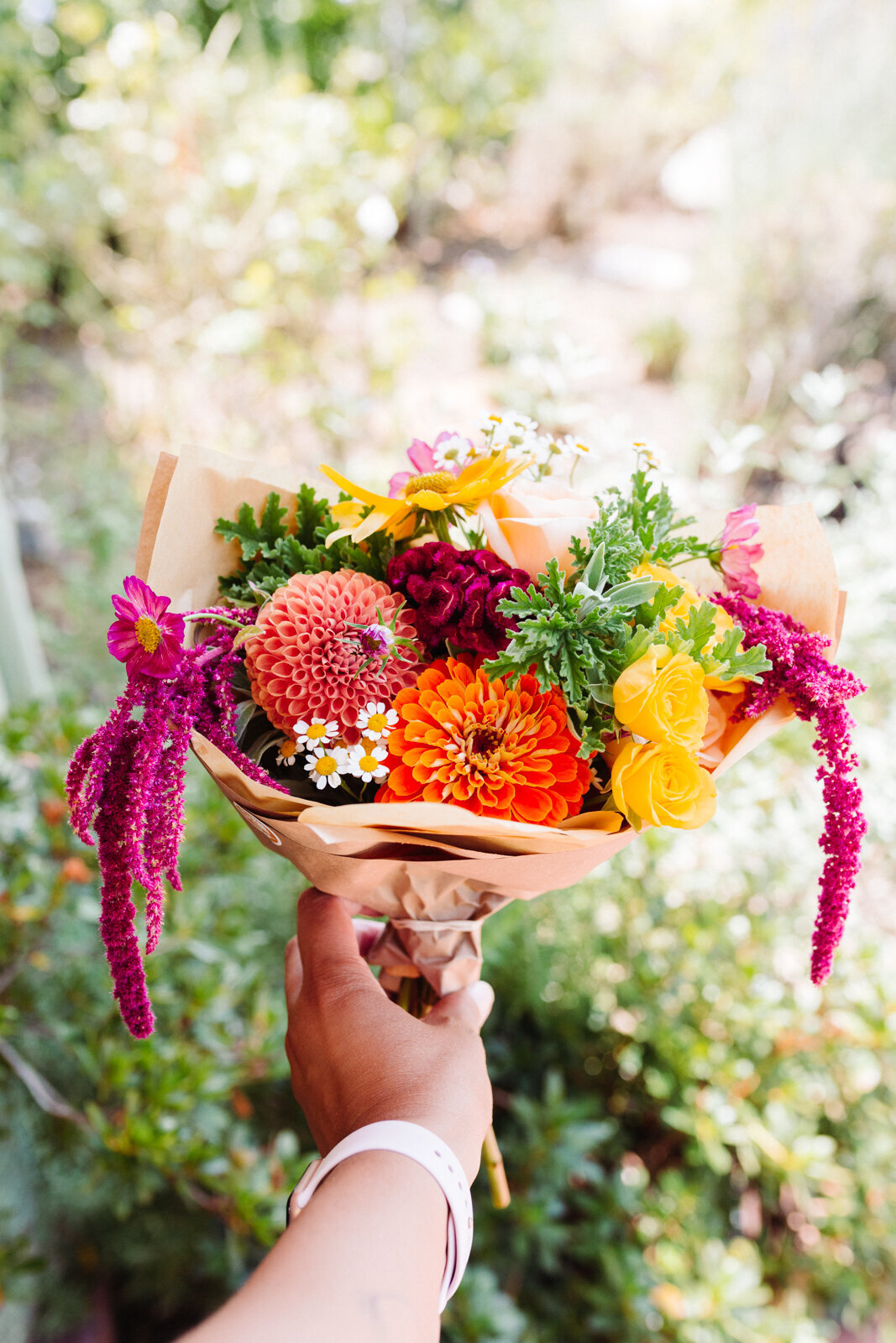 santa-barbara-company-danielle-motif-photography-august-2021-shop-web-size-58