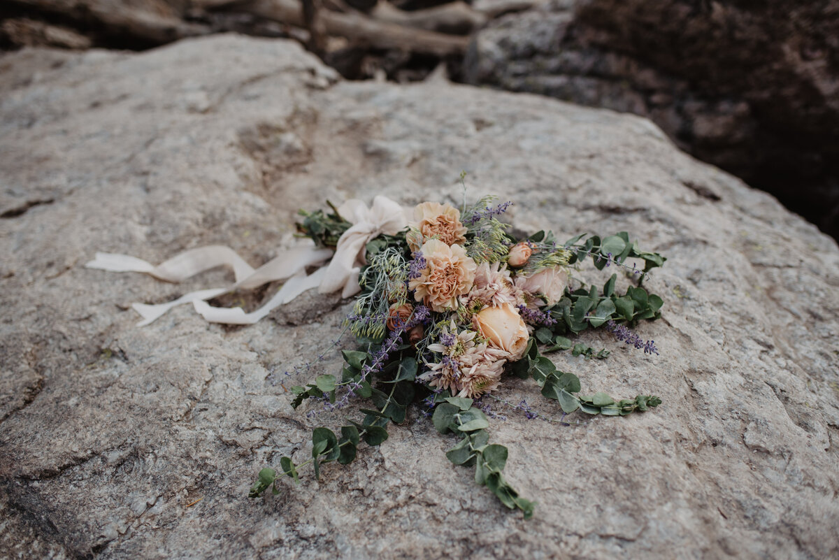 Jackson Hole Photographers capture flowers on boulder