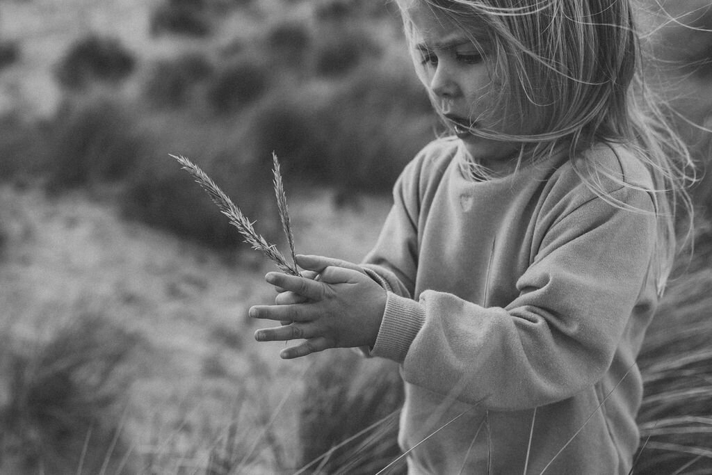 toddler-exploring-photo-mullumbimby