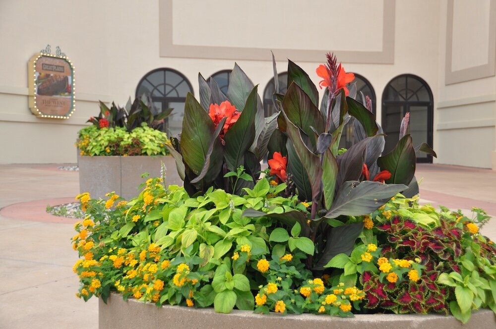 Residential landscape company project in Kansas City