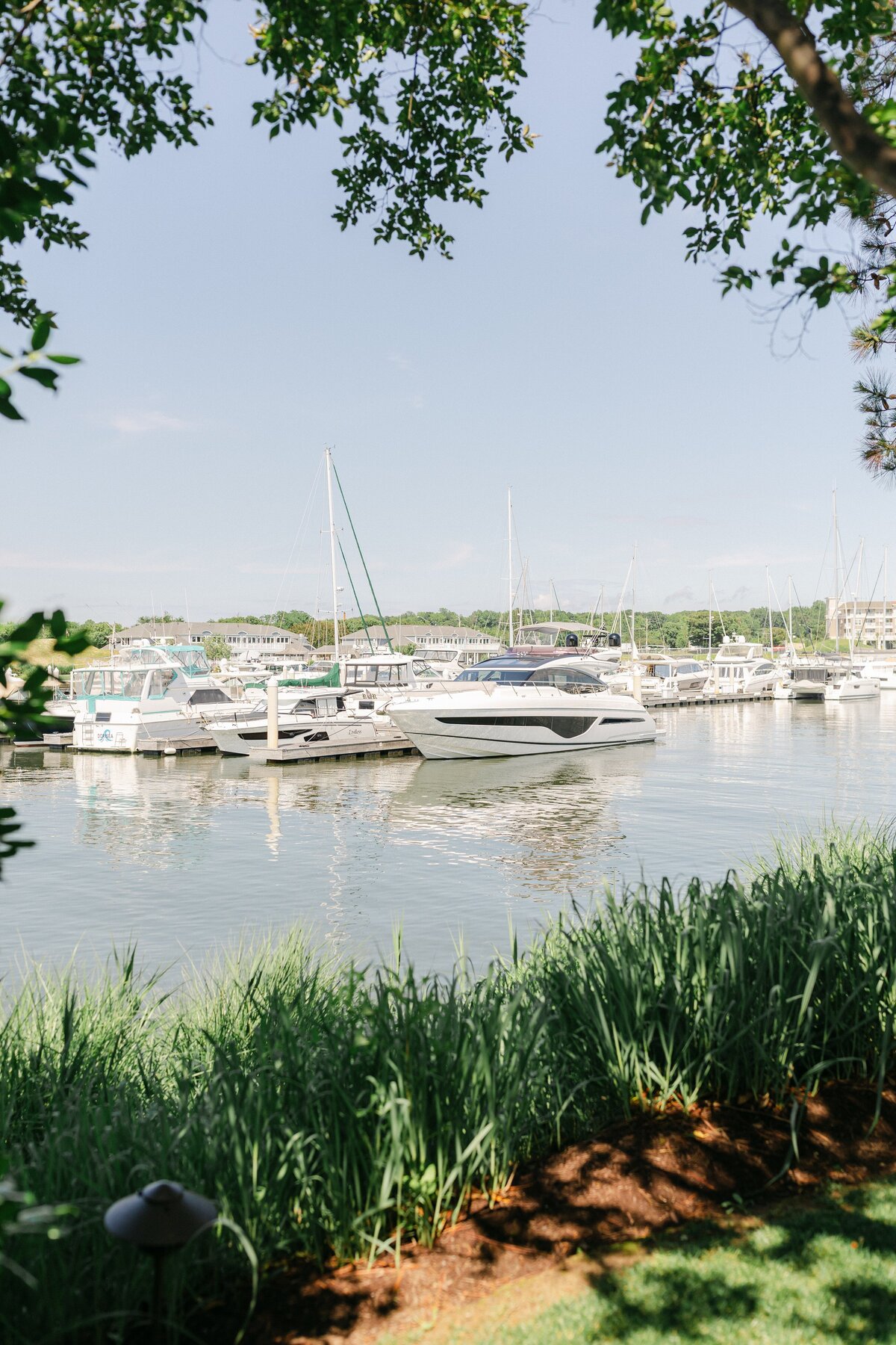 Chesapeake Bay Beach Club Wedding Photographer_0131