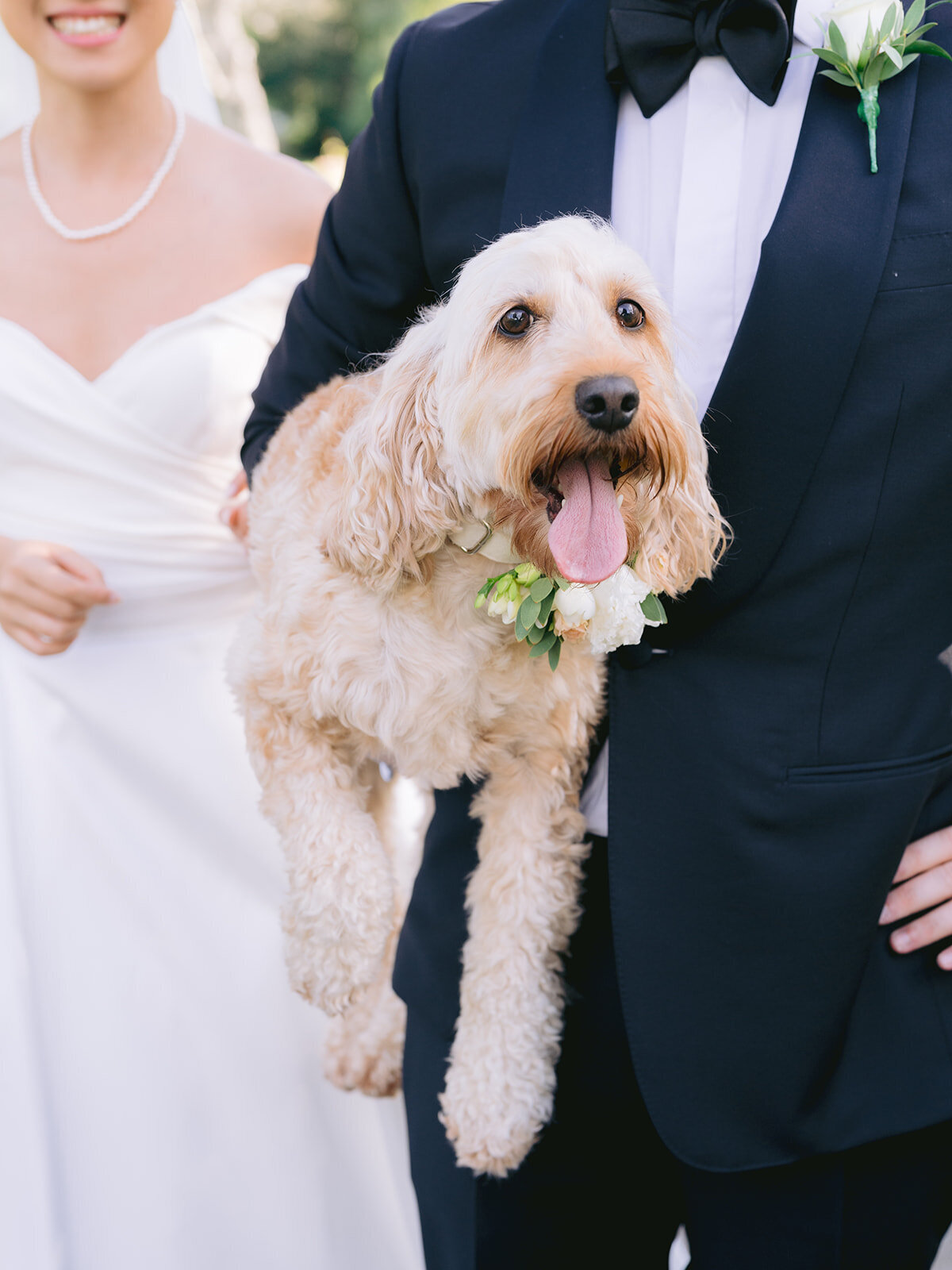 Nancy & Russell Monkey Island Wedding Gallery Sara Cooper Photography-793_websize