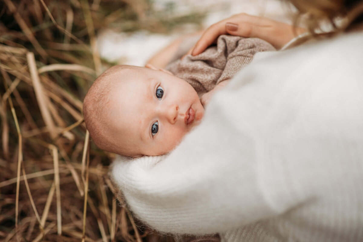 New_Hampshire_Family_Photographer-5