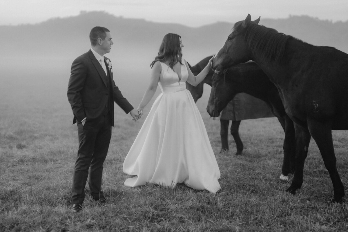 Glen Nicholls Photography — photo 13 of 18
