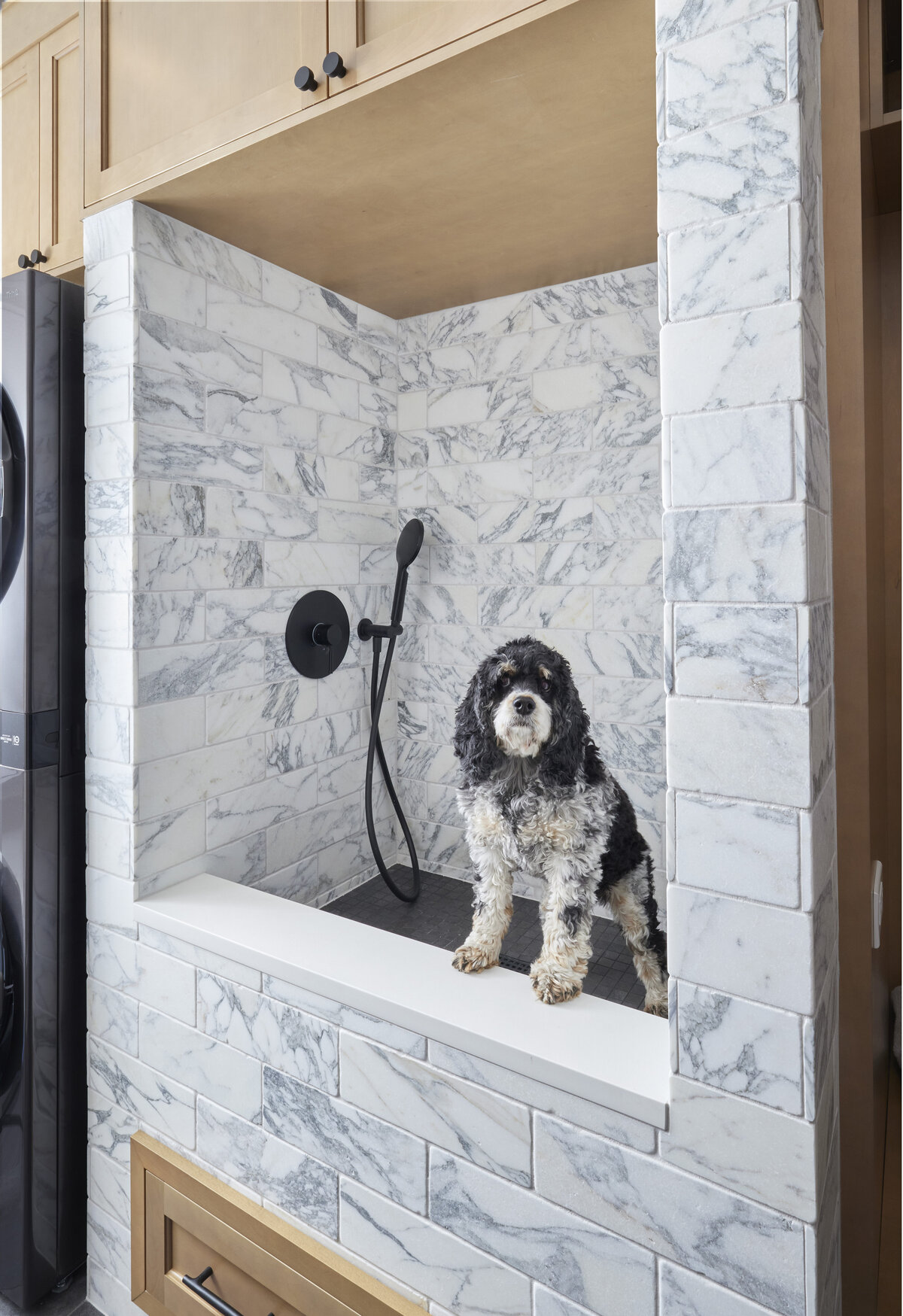 LAUNDRY_DOG BATH(1)