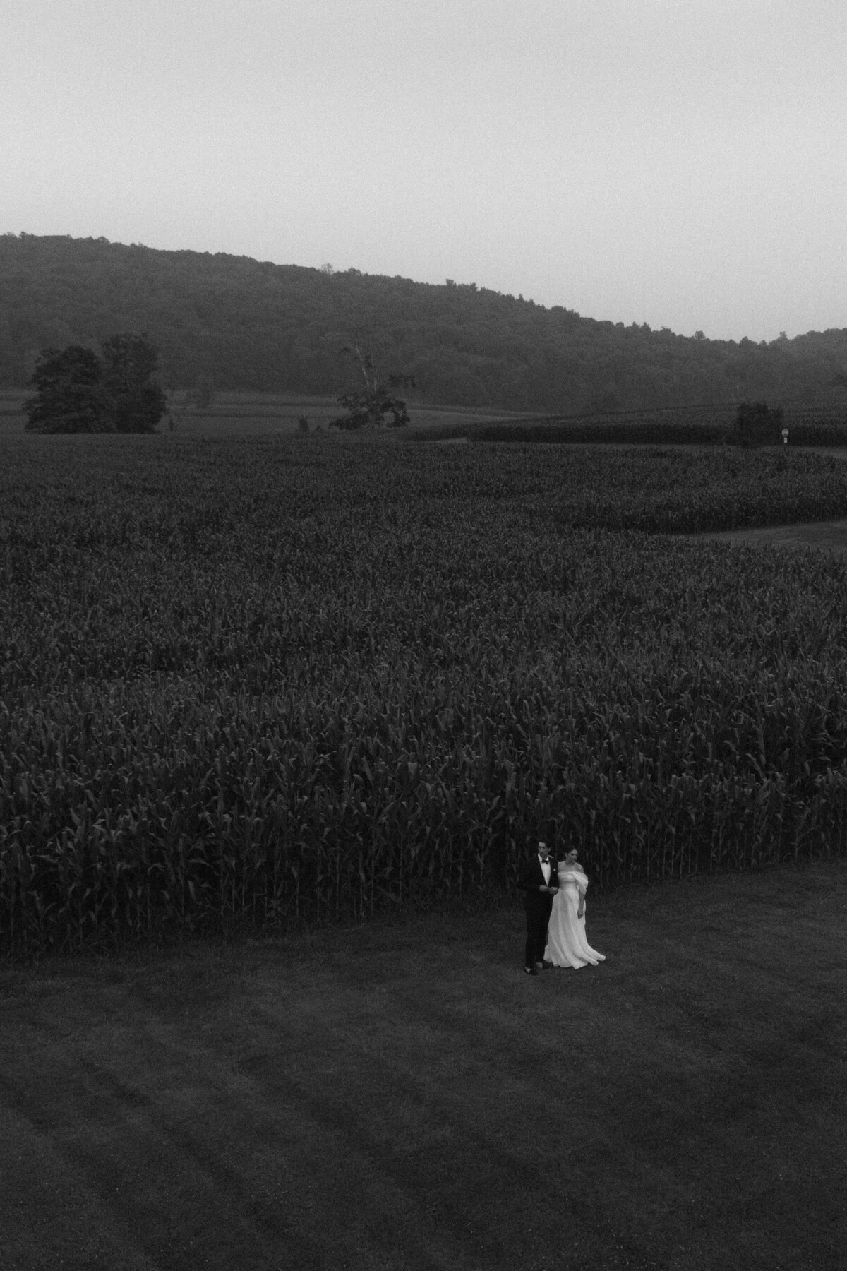 Captivating editorial wedding photography showcasing fashion photography excellence at Lion Rock Farm destination venue. Lauren Alatriste creates sophisticated imagery that balances magazine-worthy composition with genuine celebratory emotion in Connecticut's premier luxury setting.