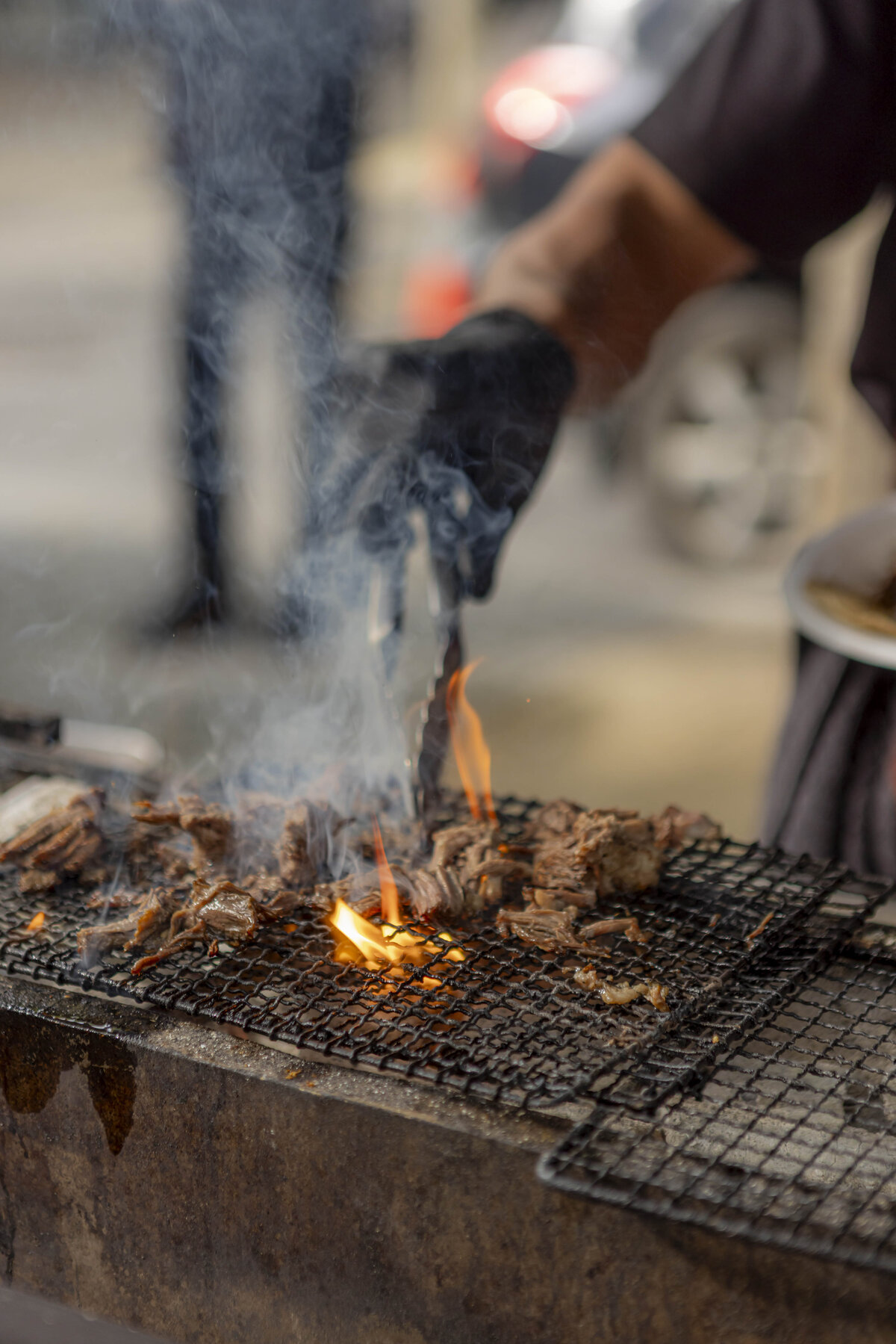 Geelong Melbourne Photographer_33