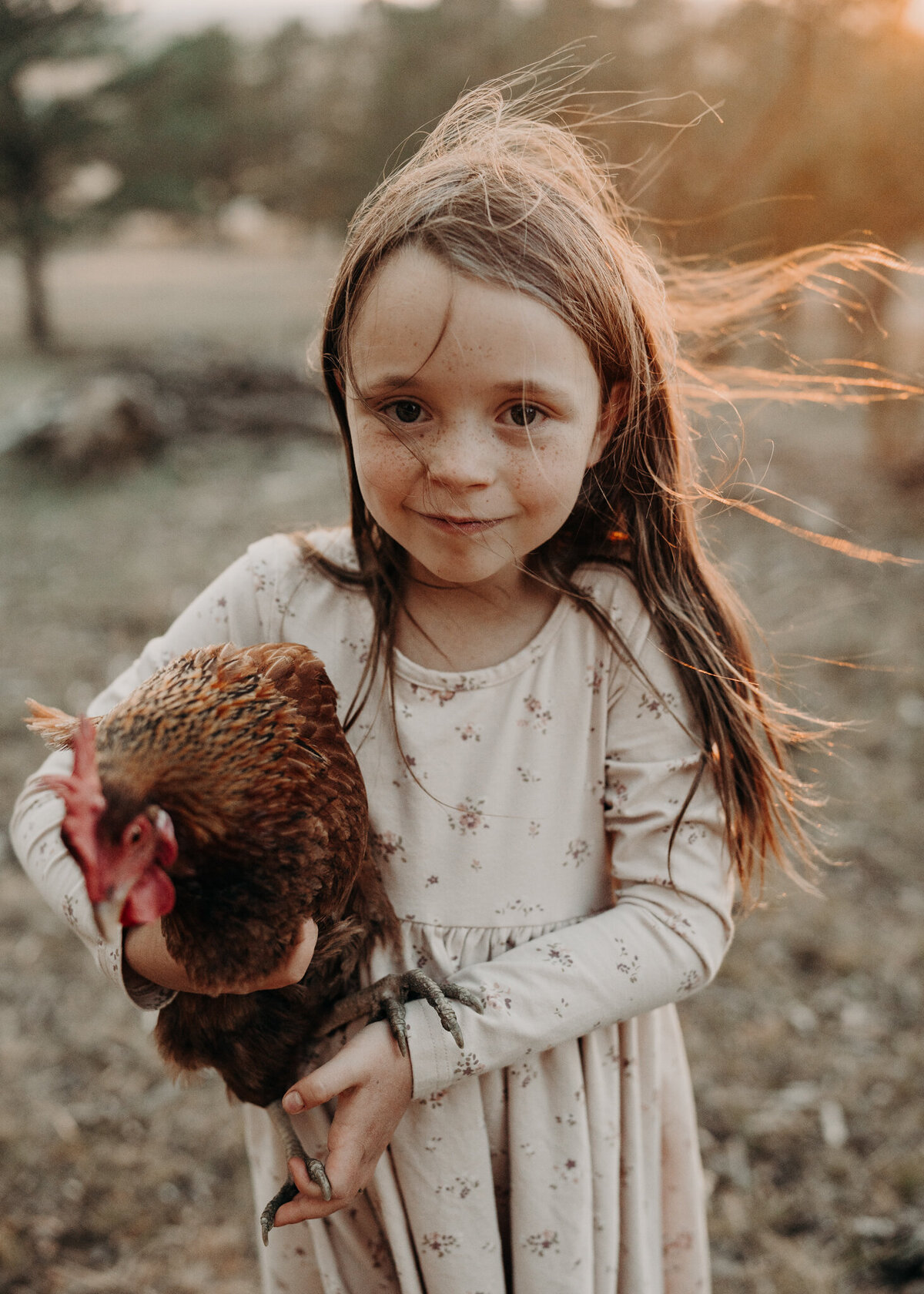 A young girl makes iContact with the camera as she probably holds her pet chicken while the sunset paints a beautiful halo of light around her body.