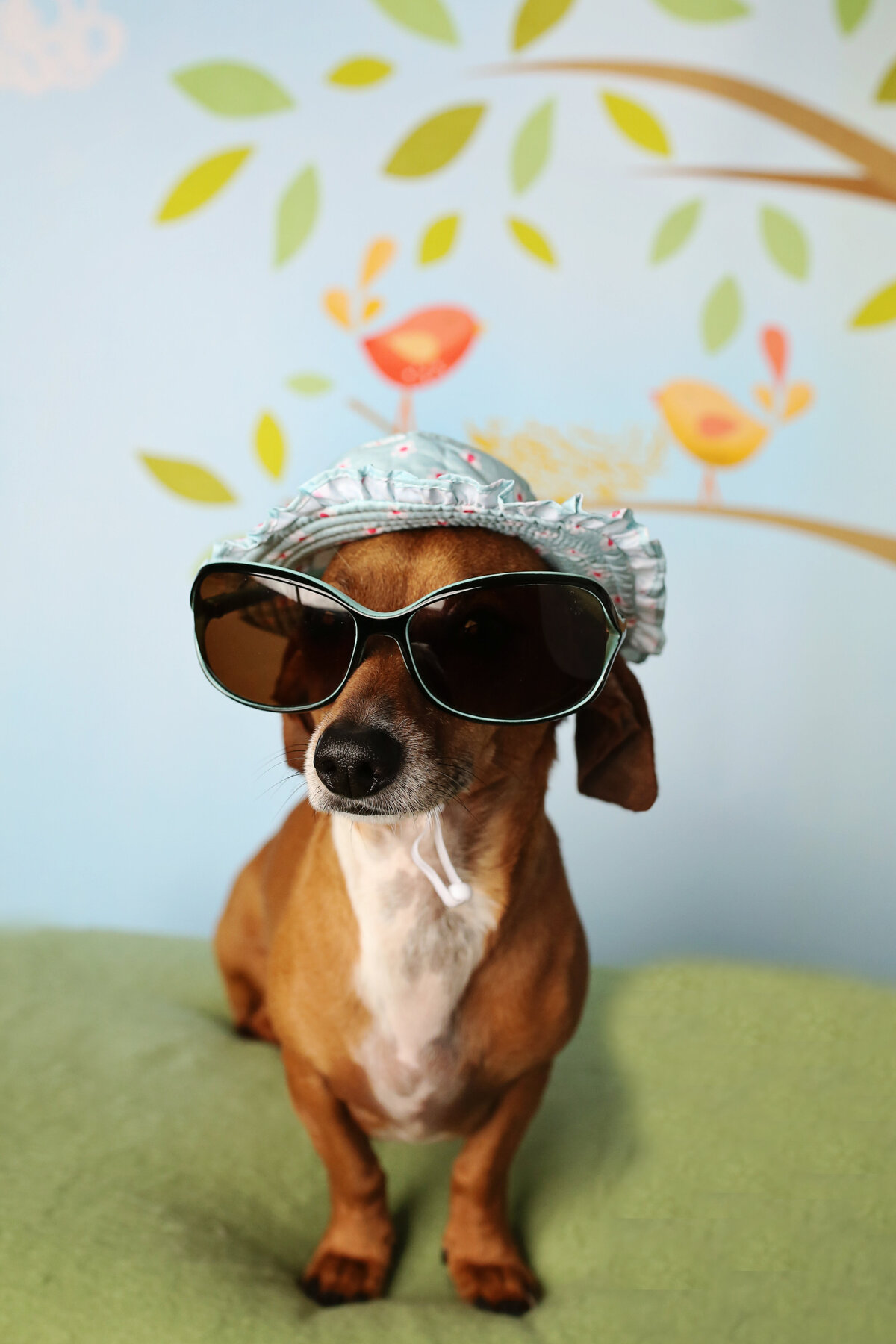 SummerFun