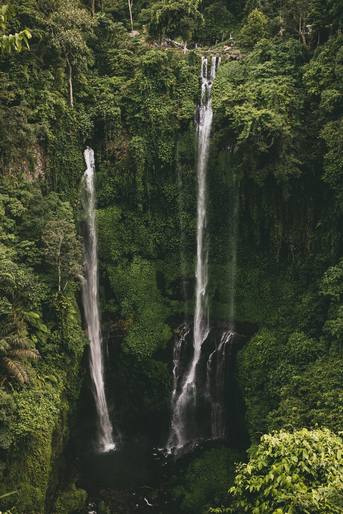 alexandra-dementyeva-wPBbPkZZu8E-unsplash