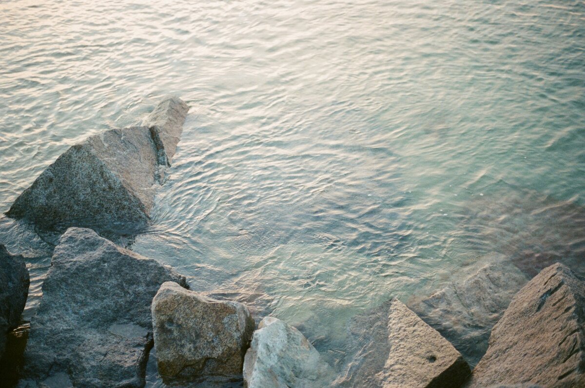 nicole-gaffney-F3YHS0XHdBs-unsplash