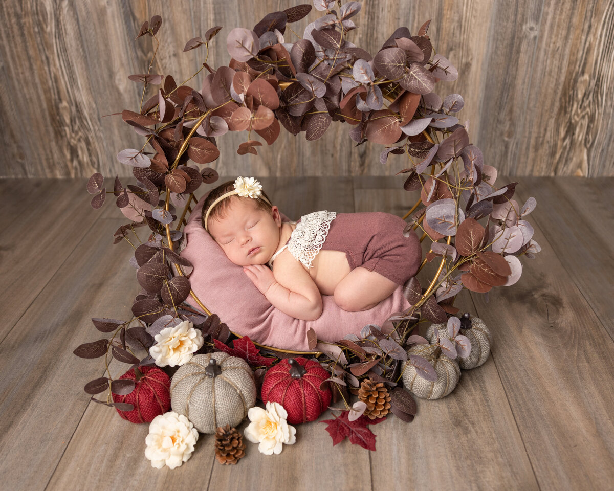 DimensionsPhotography-charlotte-nb-2054-Edit