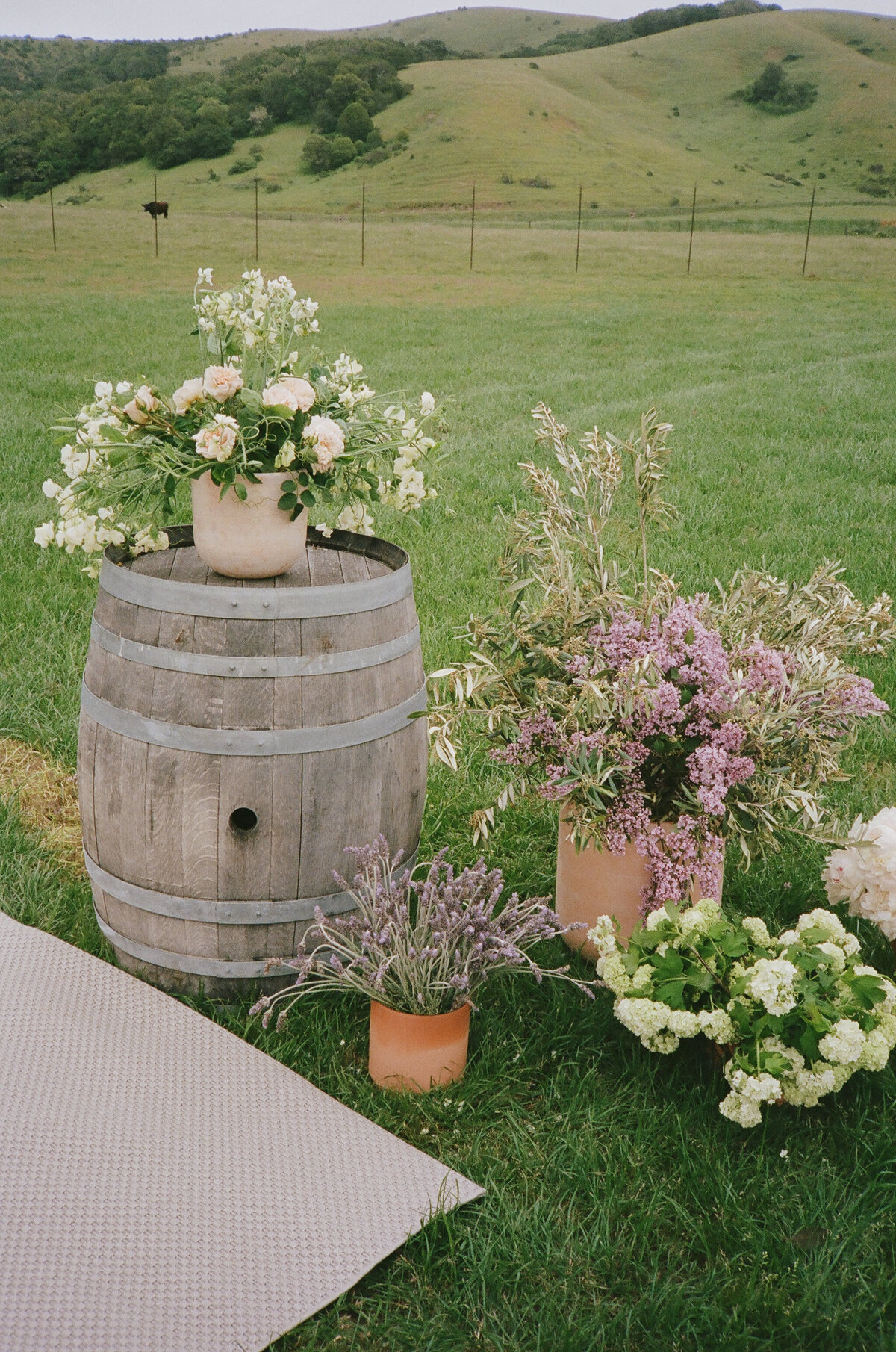 05202023_MaryBeth+AlekWeddingFilmScans_PetalumaCA_AnjaJensenPhotography-10