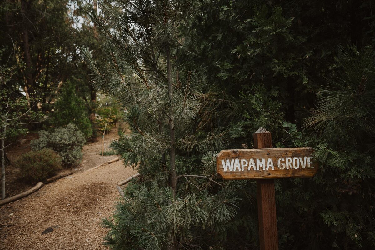 Yosemite_wedding_photographer_69