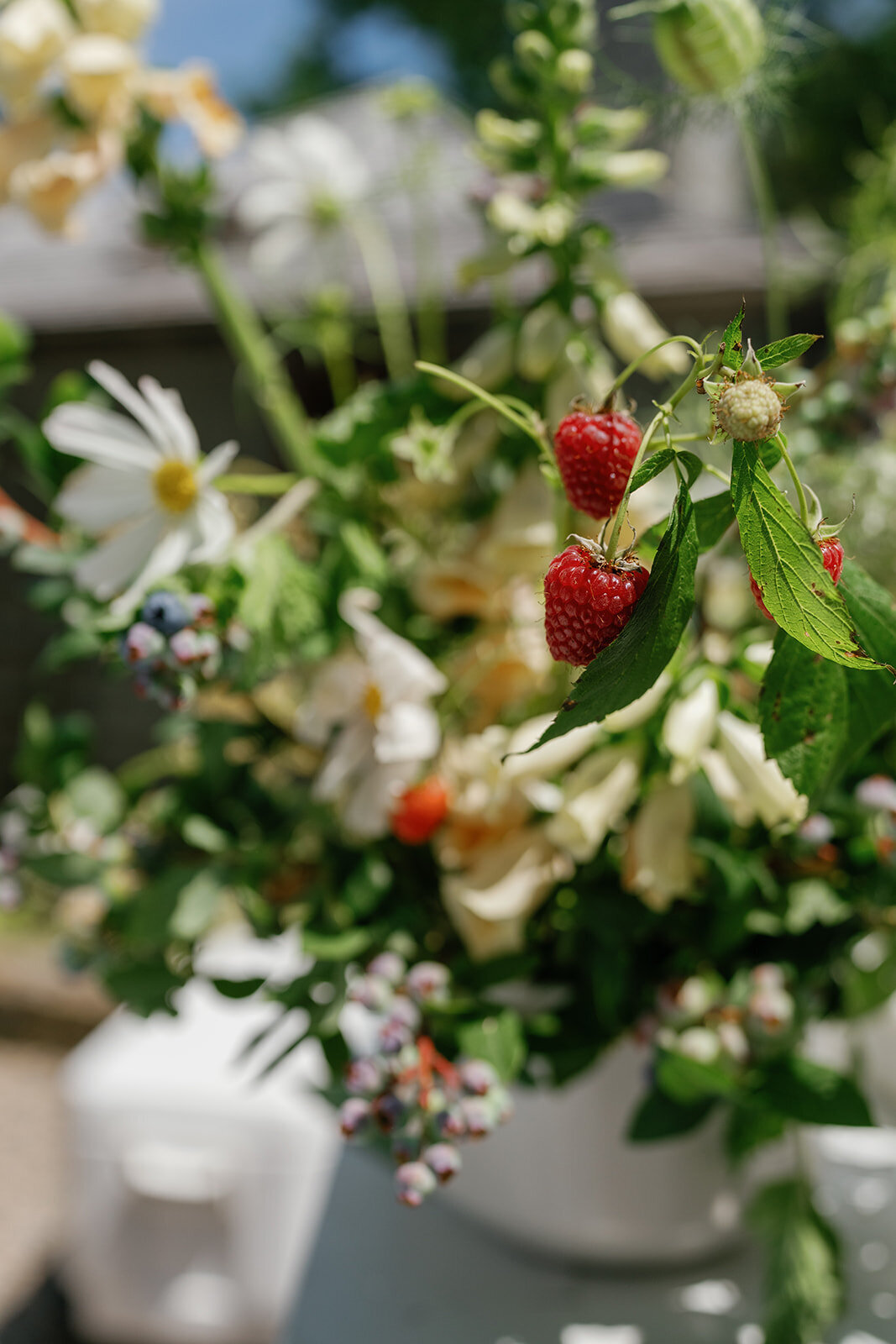Emma+JordanWedding_JacquiCole-386