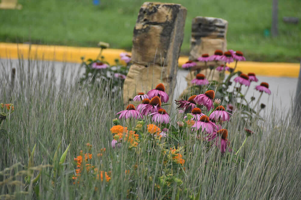 Commercial landscape company project in Kansas City