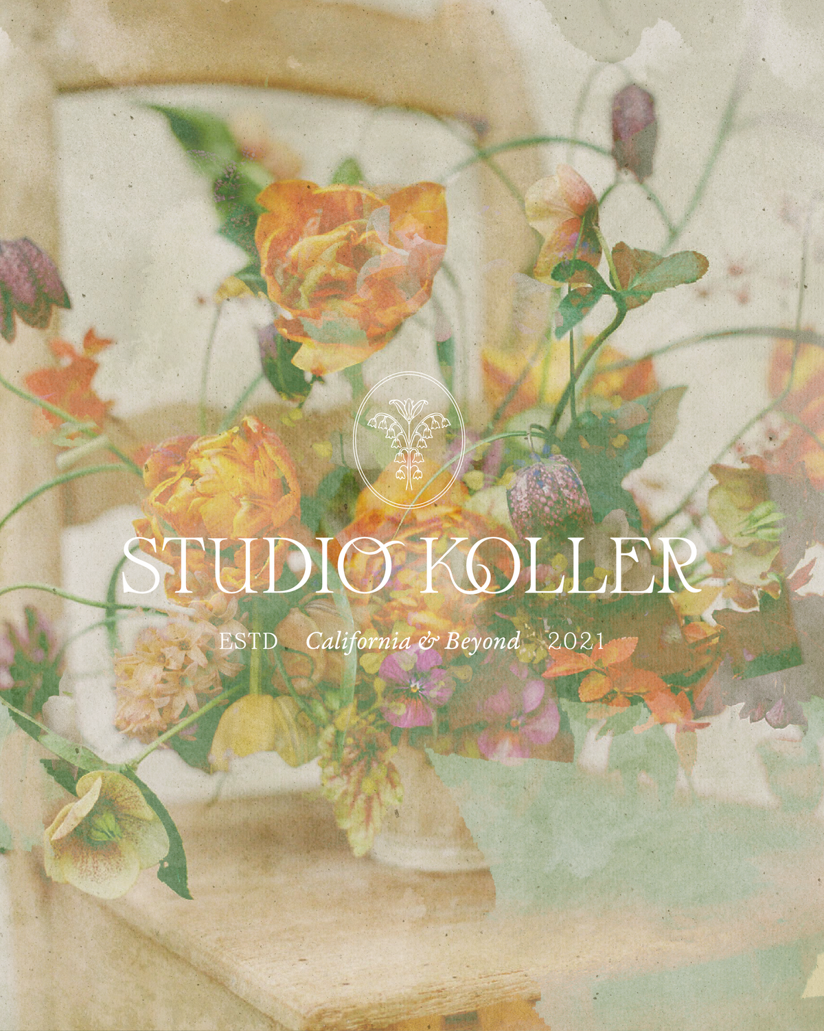 Studio Koller-Social Media Graphics-22