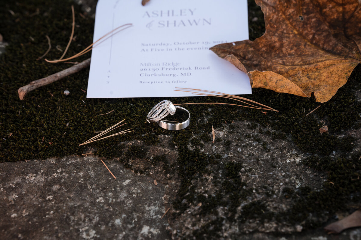 Maryland-wedding-photo-00724