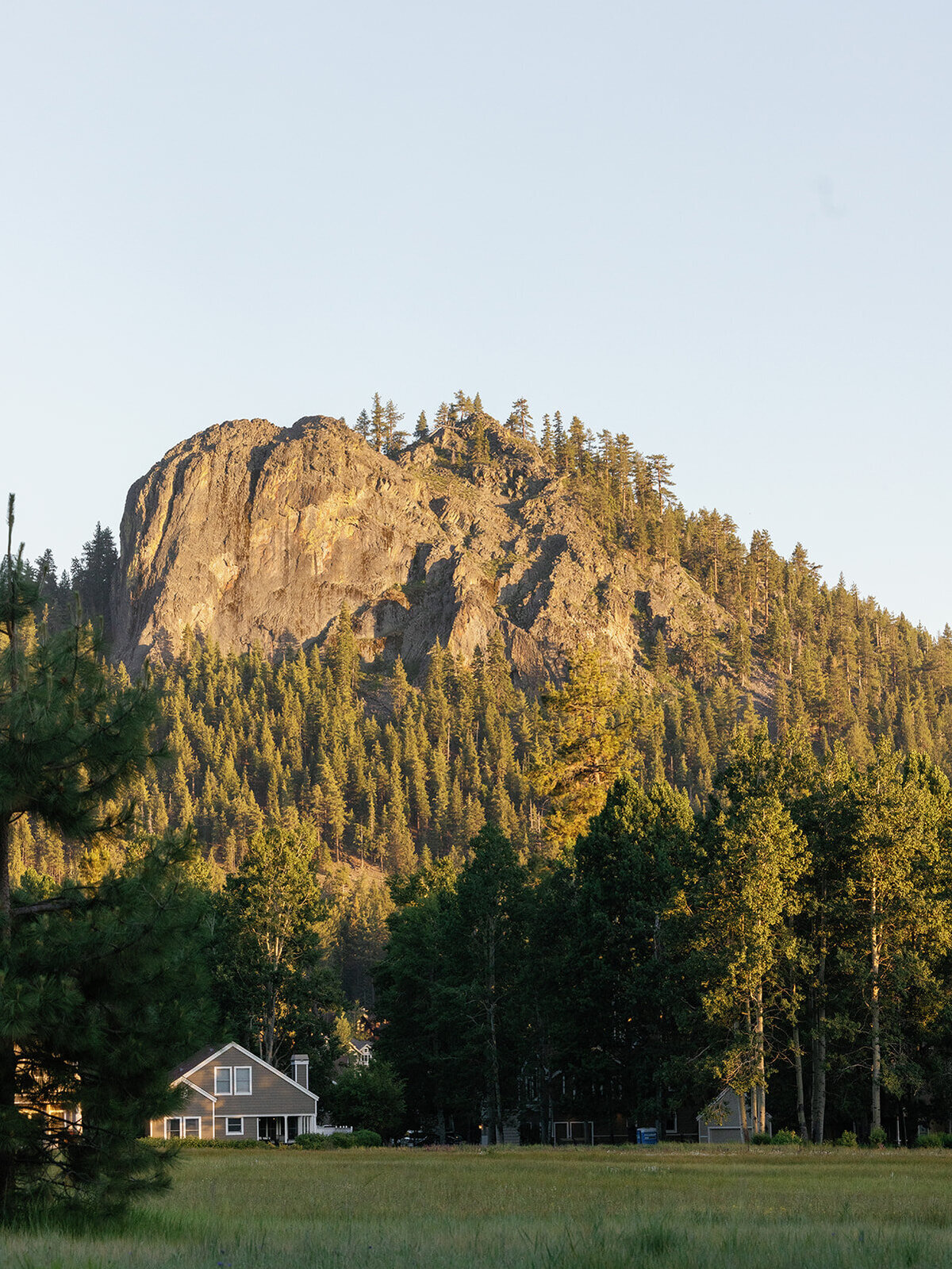 A&D 24_ 1331