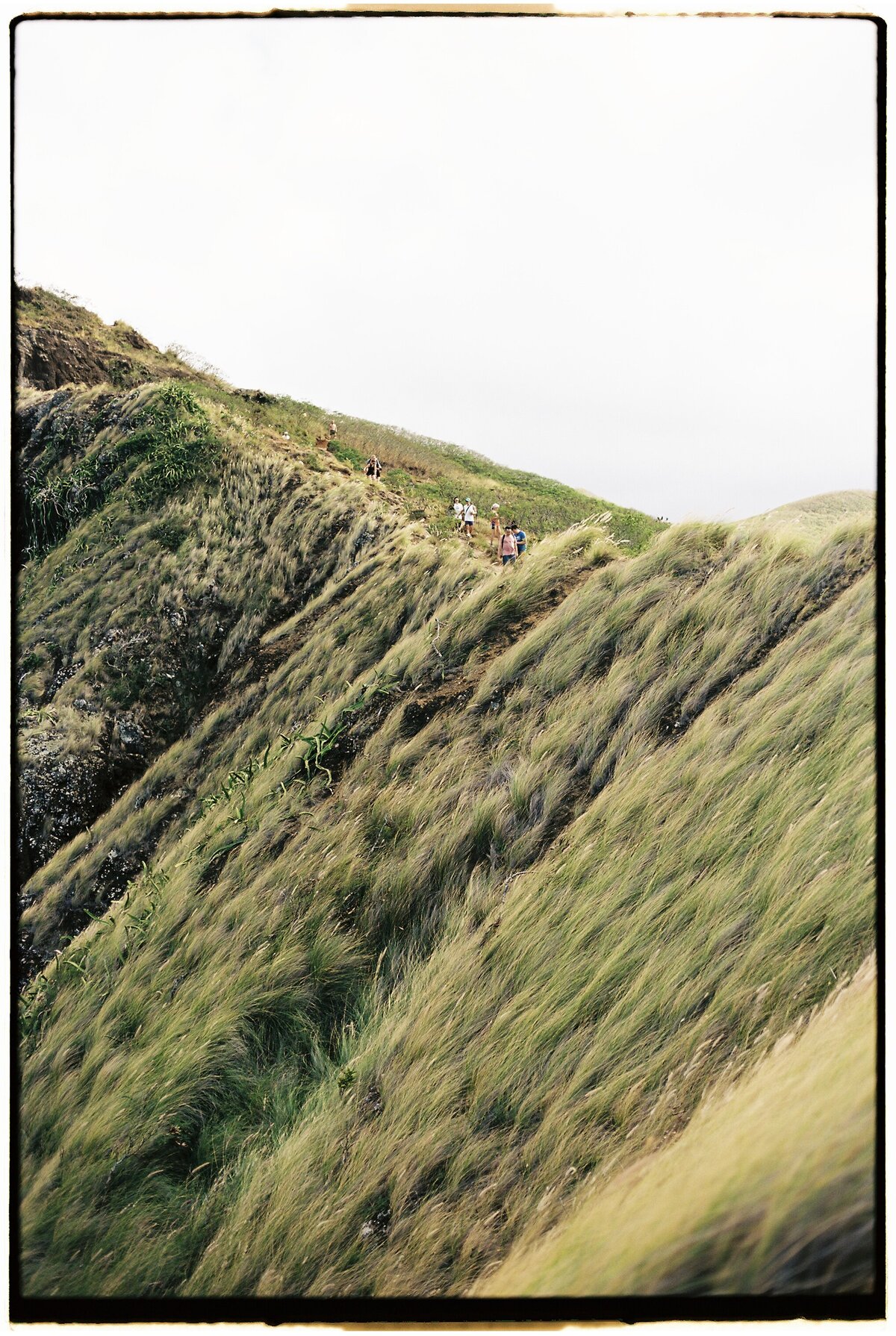 Hiking through lush green grass on a mountain, captured in an authentic, candid style by Kate Winters Photography, Carmel, CA.