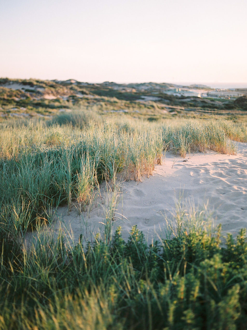 Guincho15.03.2021byMazarinePhoto-18
