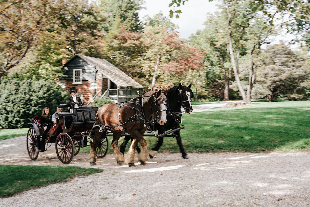 Jess-Graham-Oatlands-Wedding-The-finer-points-event-planning-SAS-photography00015