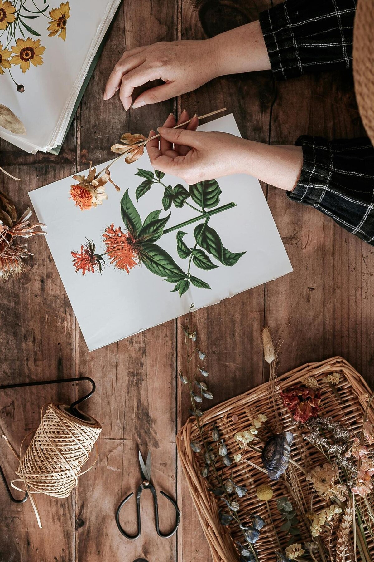 pexels-micheile-9350672